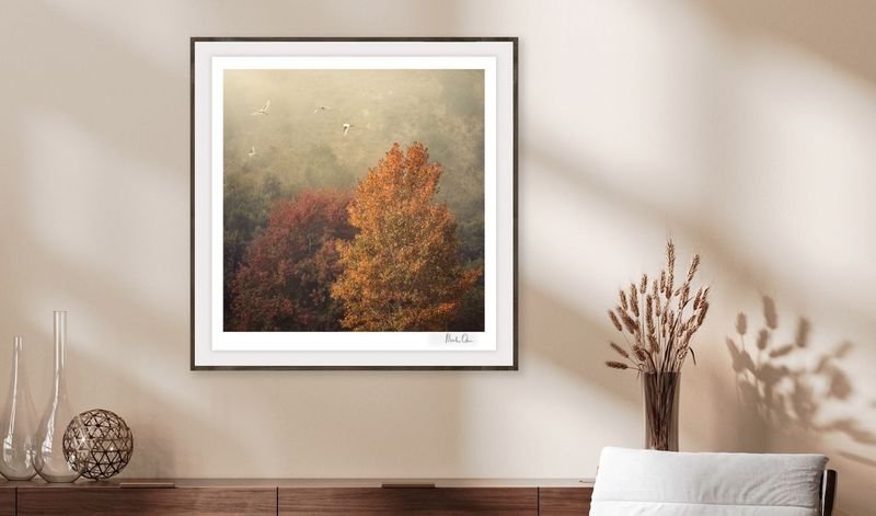 Misty autumn tree in a white frame in a sunlit room