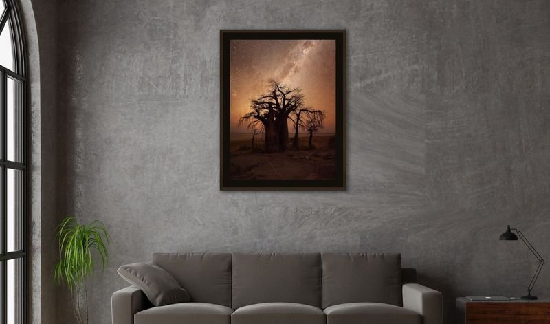 Baobab at dusk in a dark frame above a sofa